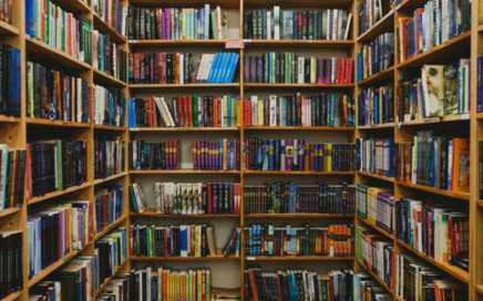 photo-BIBLIO and MuSA