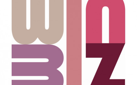 logo-winbiz